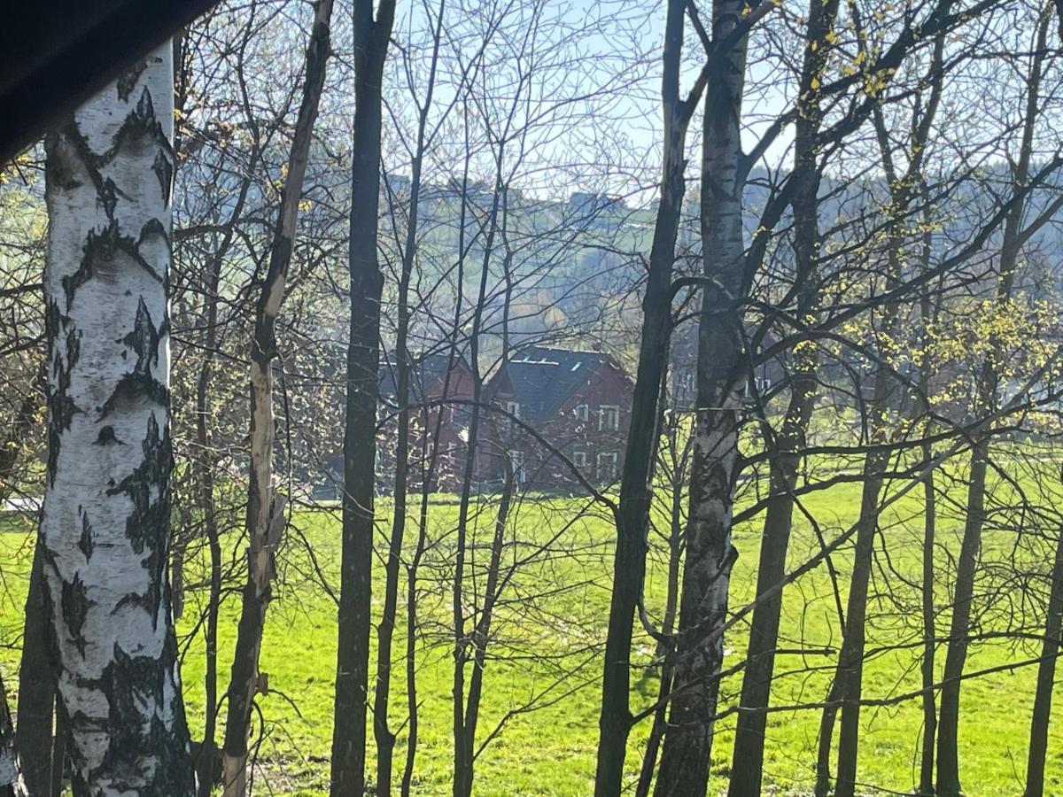 Vceli Chata Mirda Pirda Dolní Moravice Buitenkant foto